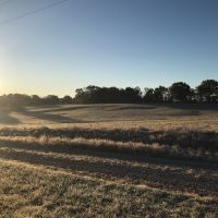 Farm pic 5
