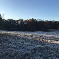 Farm pic 6