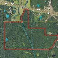261.5 Acres in Lafayette County MS