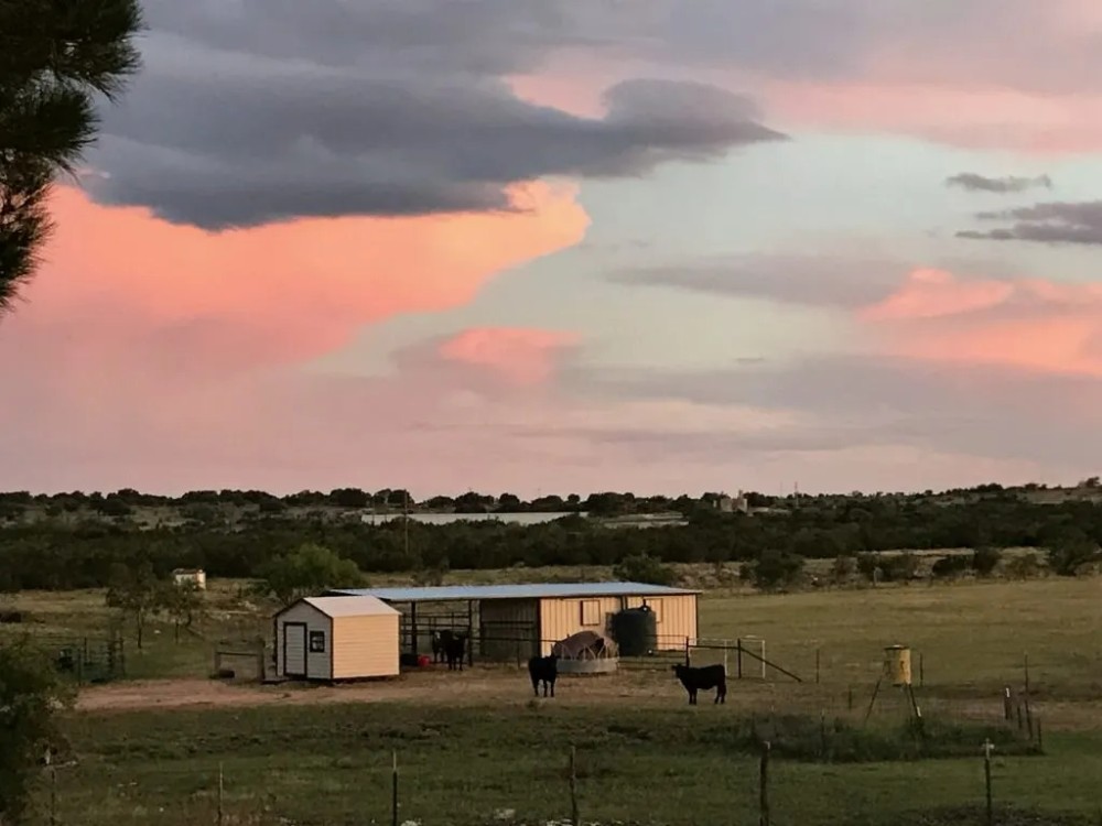 Mertzon Texas Horse and Hunting Property near San Angelo featured image