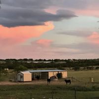 Mertzon Texas Horse and Hunting Property near San Angelo