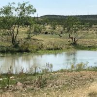 Mertzon Texas Horse and Hunting Property near San Angelo images 2