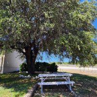 Mertzon Texas Horse and Hunting Property near San Angelo images 4
