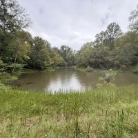 MS - Warren 100 acres - images 3