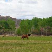 Valley Springs Ranch images 3