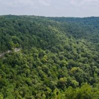 Riverfront Property in Northwest Arkansas images 5