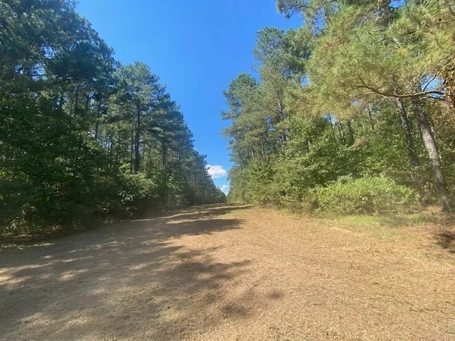 26 acres- Mature Timber- Salem School District featured image