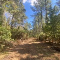 26 acres- Mature Timber- Salem School District images 3