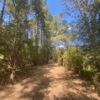 26 acres- Mature Timber- Salem School District images 4