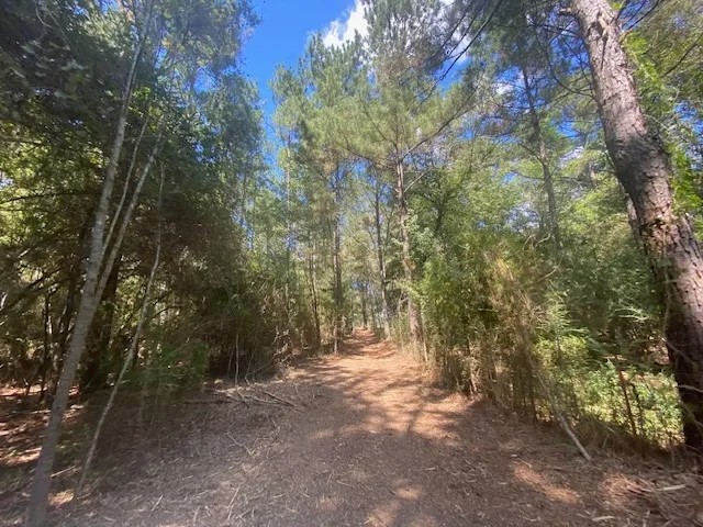 33 acres- Mature Timber- Salem School District featured image