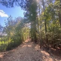 33 acres- Mature Timber- Salem School District images 4