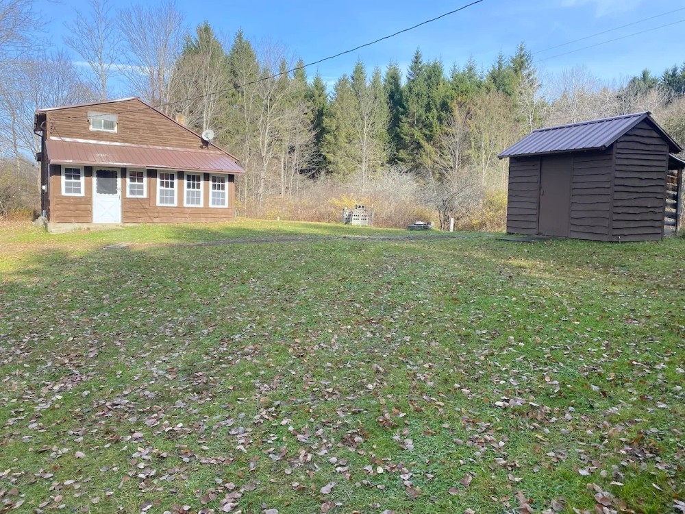 Cabin on 5 acres in Birdsall NY 3346 Old York Drive bordering County Land featured image