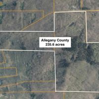Cabin on 5 acres in Birdsall NY 3346 Old York Drive bordering County Land images 5