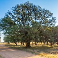 JD Ranch images 1