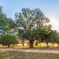 JD Ranch images 2