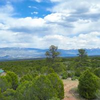38 Acres Bordering BLM and Near Cornerstone Golf