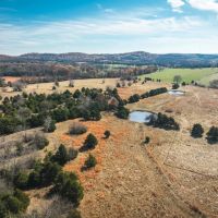 Barry County Cattle Farm images 2
