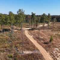 LA - Caldwell 80 acres -