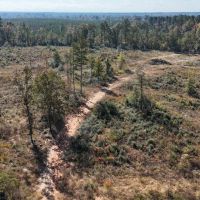 LA - Caldwell 80 acres - images 4