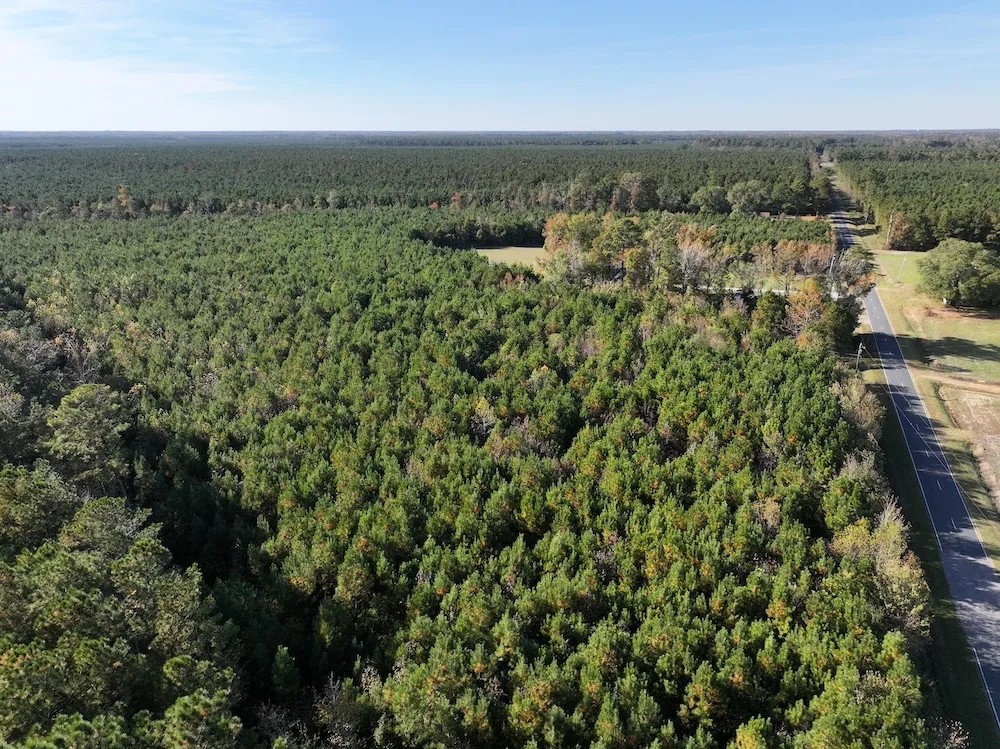 Sutton Timber and Possible Homesite featured image