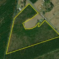 Sutton Timber and Possible Homesite images 2