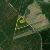 Sutton Timber and Possible Homesite images 3