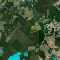 Sutton Timber and Possible Homesite images 4