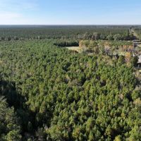 Sutton Timber and Possible Homesite images 5