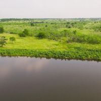 50 Acres in Milam COunty images 5