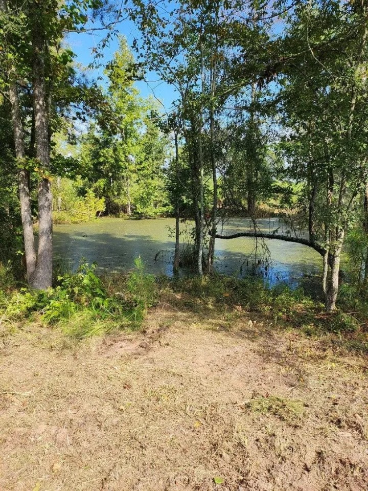64 Acres in Scott County MS featured image