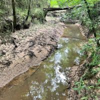 64 Acres in Scott County MS images 4