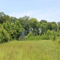 Watson Road - Sumter Tract