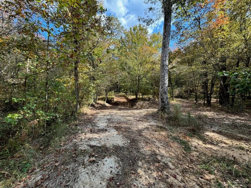 175 Acres Hunting and Timberland for Sale Franklin Co. MS featured image