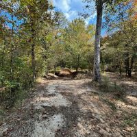 175 Acres Hunting and Timberland for Sale Franklin Co. MS images 1
