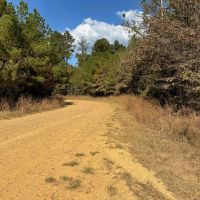 175 Acres Hunting and Timberland for Sale Franklin Co. MS images 2