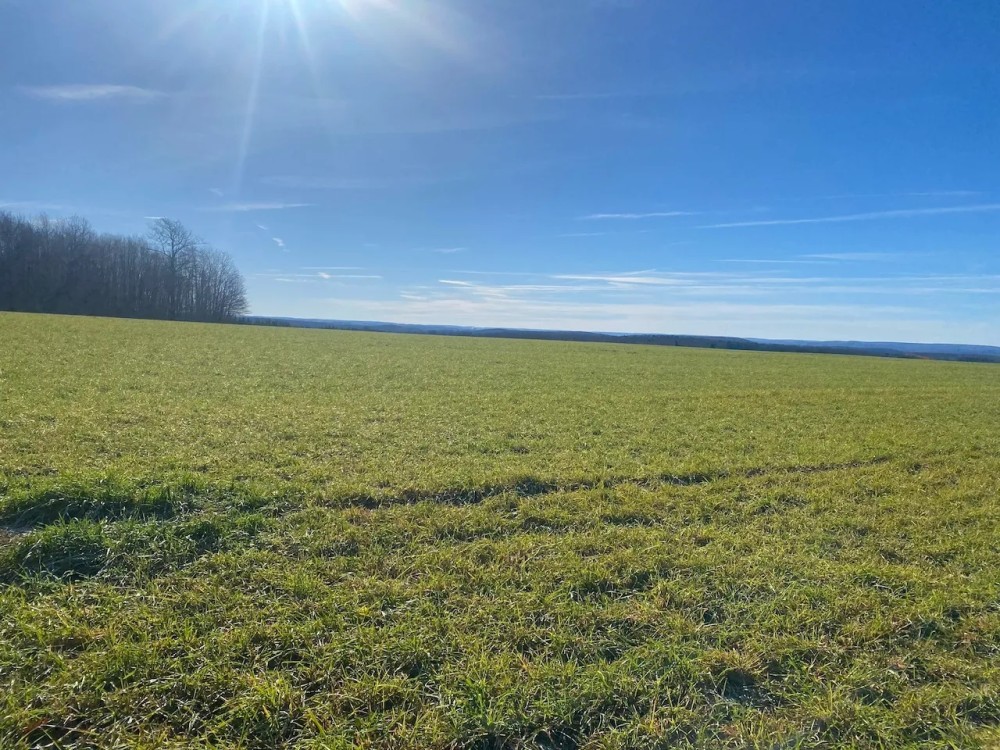 83 acres Tillable Farmland with Woods and Valley Views bordering State Land in Scio NY 4849 Wadsworth Hill Rd featured image