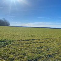83 acres Tillable Farmland with Woods and Valley Views bordering State Land in Scio NY 4849 Wadsworth Hill Rd