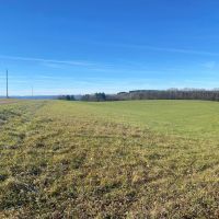 83 acres Tillable Farmland with Woods and Valley Views bordering State Land in Scio NY 4849 Wadsworth Hill Rd images 3