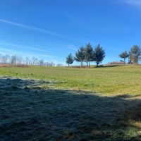 83 acres Tillable Farmland with Woods and Valley Views bordering State Land in Scio NY 4849 Wadsworth Hill Rd images 4