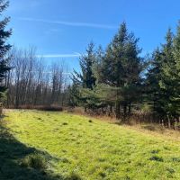 83 acres Tillable Farmland with Woods and Valley Views bordering State Land in Scio NY 4849 Wadsworth Hill Rd images 5