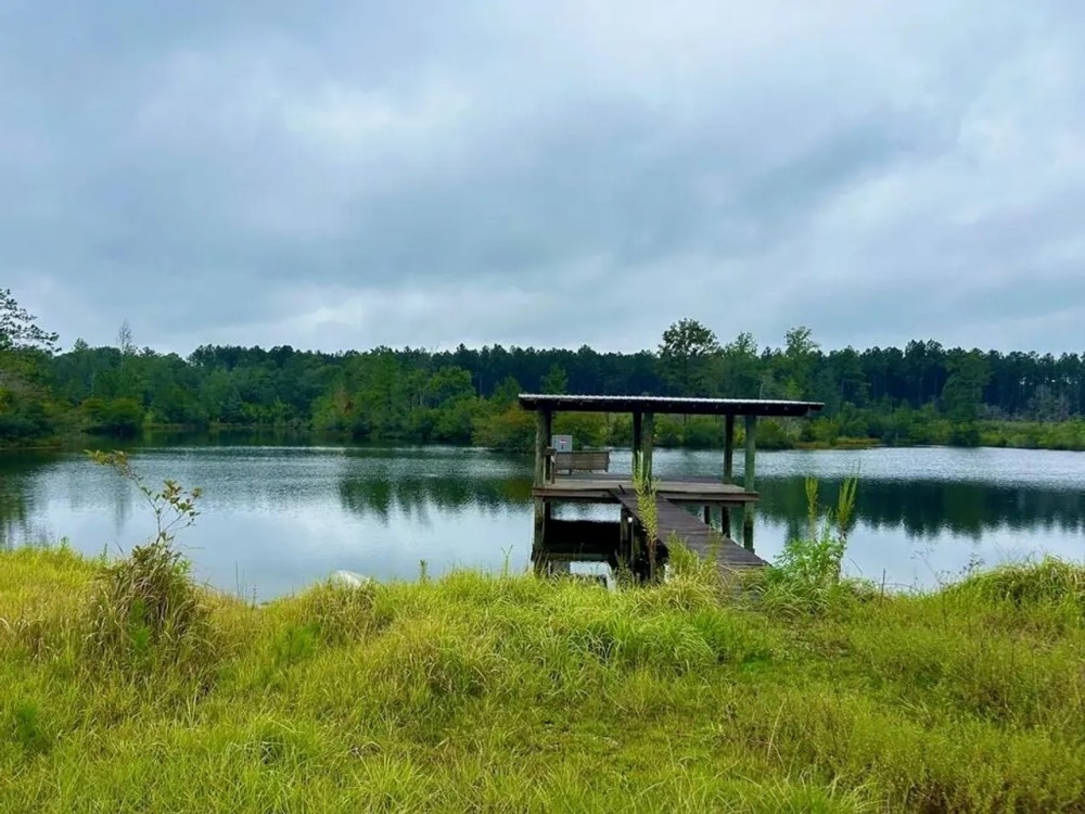 112 Acres Vancleave MS Campground Rd Indian Land for Sale featured image