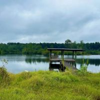 112 Acres Vancleave MS Campground Rd Indian Land for Sale