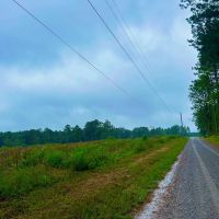 112 Acres Vancleave MS Campground Rd Indian Land for Sale images 2