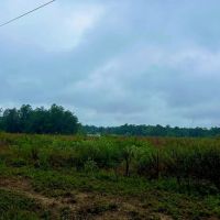 112 Acres Vancleave MS Campground Rd Indian Land for Sale images 4
