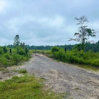 112 Acres Vancleave MS Campground Rd Indian Land for Sale images 5