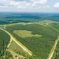 4 Acres Nine Bridge Rd. images 1