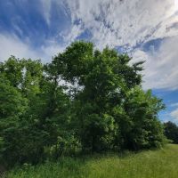 TBD Farm Road 1159 Clarksville TX 75426