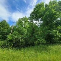 TBD Farm Road 1159 Clarksville TX 75426 images 5