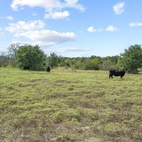 1109 Comanche Cr 343 Dublin Texas 76446 images 4