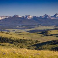 Rocking Chair Ranch images 2